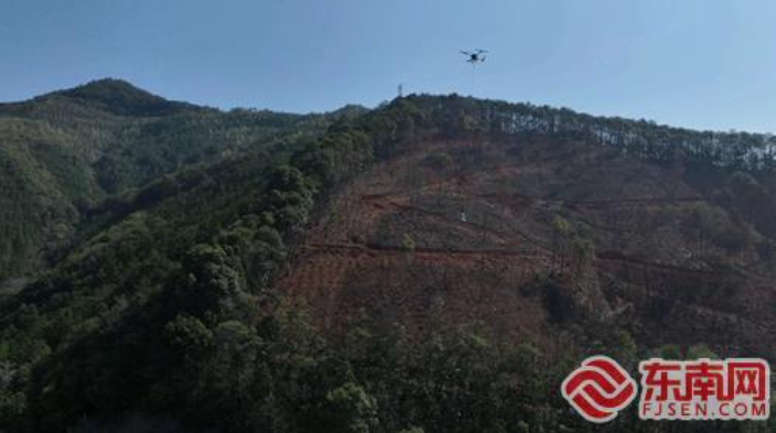 “两区”携手共绘蓝图 ‍ ‍延平低空经济“振翅先飞”