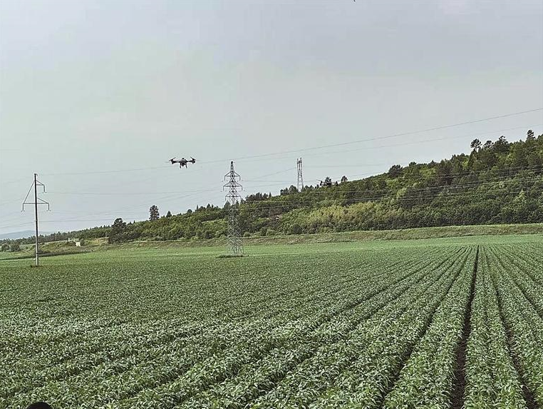  云端新农具 黑土新引擎——我区农业农村低空经济发展纪实