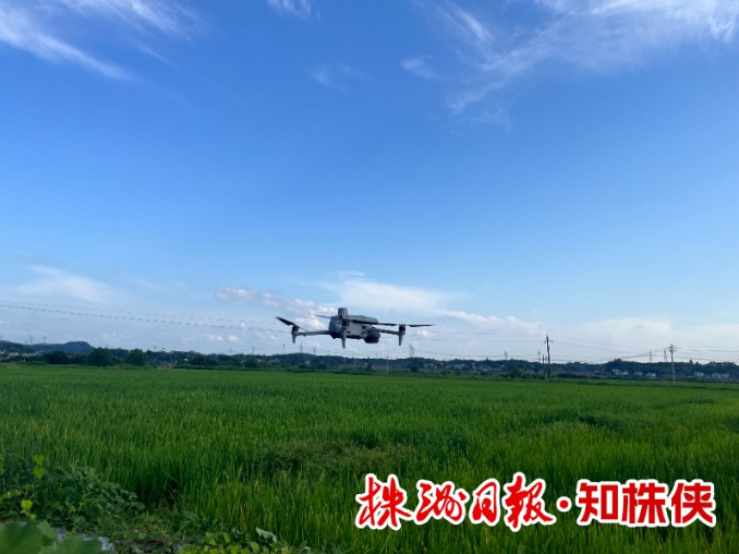 无人机巡田