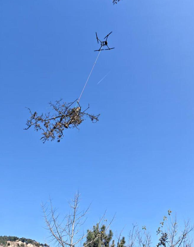 空中“搬运工”、直升机观光……青岛低空经济“起飞”，人才缺口