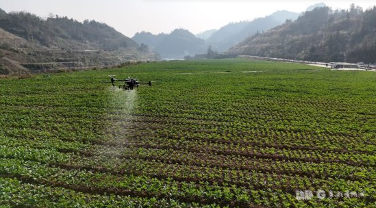低空经济如何在山地“起飞”？丨贵州新质生产力布局观察