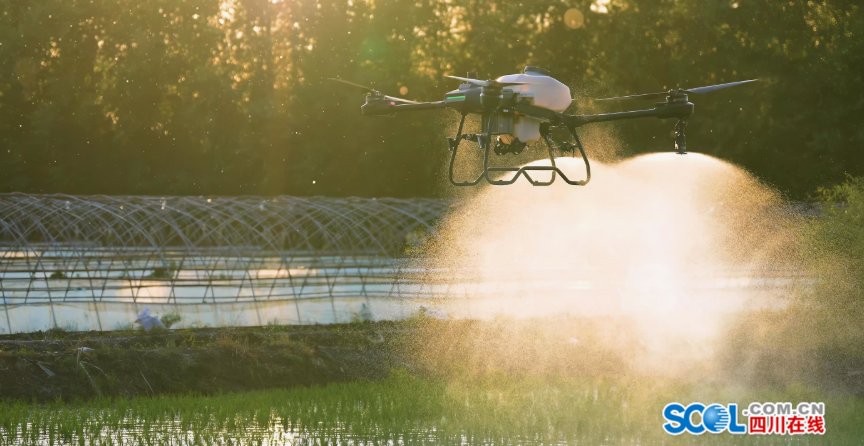 什邡低空经济“飞”向国际